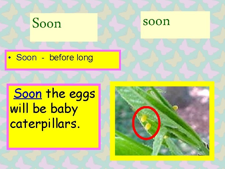 Soon • Soon - before long Soon the eggs will be baby caterpillars. soon