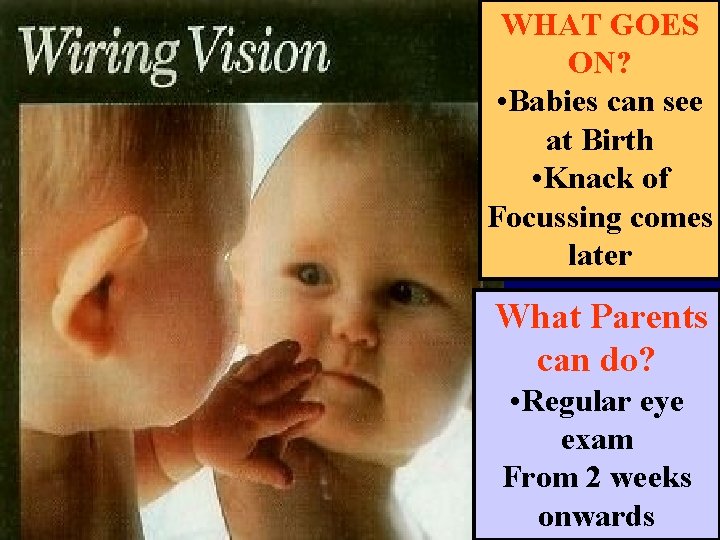 WHAT GOES ON? • Babies can see at Birth • Knack of Focussing comes