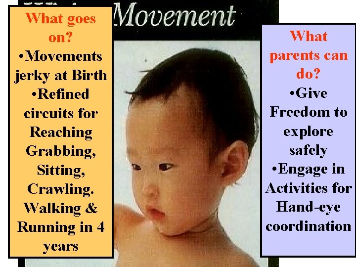 What goes on? • Movements jerky at Birth • Refined circuits for Reaching Grabbing,