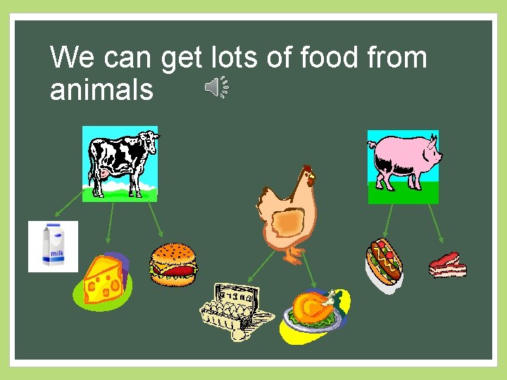 We can get lots of food from animals 