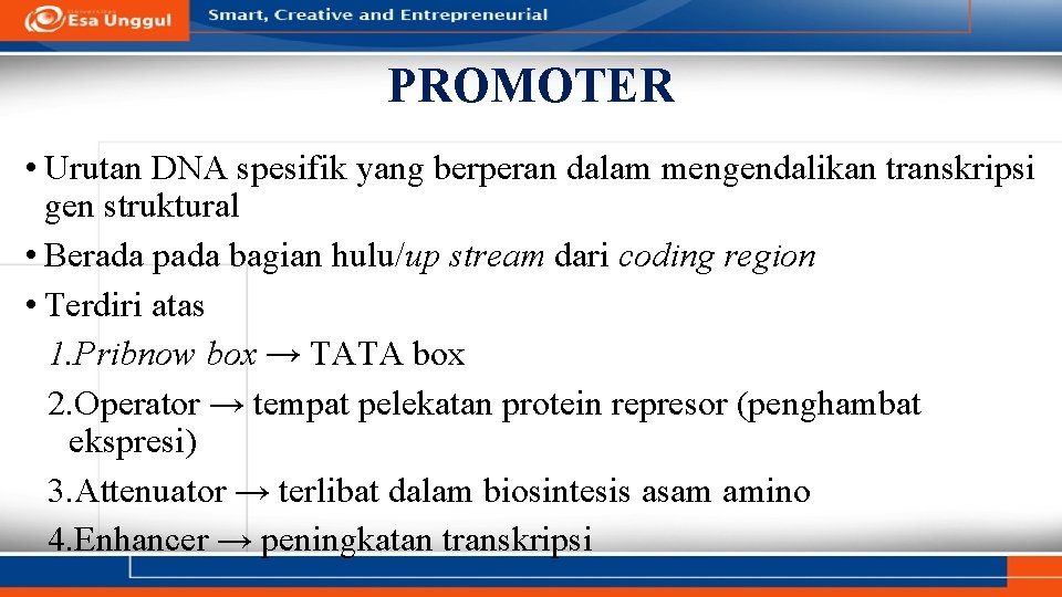 PROMOTER • Urutan DNA spesifik yang berperan dalam mengendalikan transkripsi gen struktural • Berada