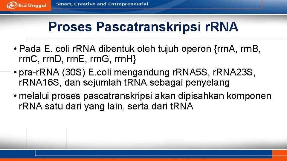 Proses Pascatranskripsi r. RNA • Pada E. coli r. RNA dibentuk oleh tujuh operon