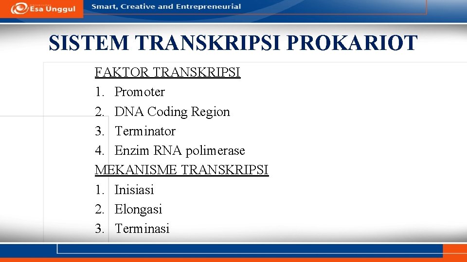 SISTEM TRANSKRIPSI PROKARIOT FAKTOR TRANSKRIPSI 1. Promoter 2. DNA Coding Region 3. Terminator 4.