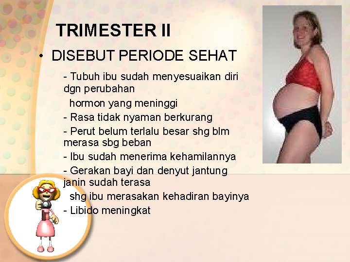 TRIMESTER II • DISEBUT PERIODE SEHAT - Tubuh ibu sudah menyesuaikan diri dgn perubahan