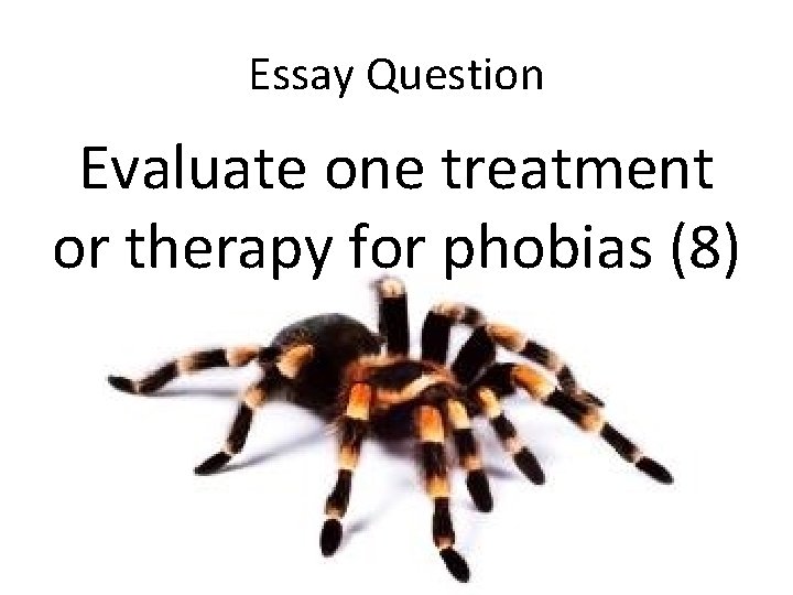 Essay Question Evaluate one treatment or therapy for phobias (8) 