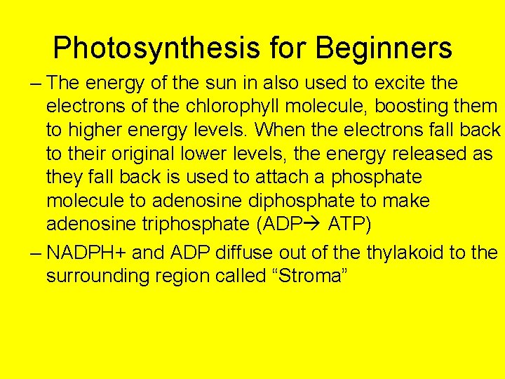 Photosynthesis for Beginners – The energy of the sun in also used to excite