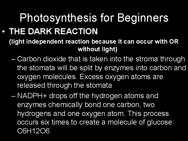 Photosynthesis for Beginners • THE DARK REACTION (light independent reaction because it can occur