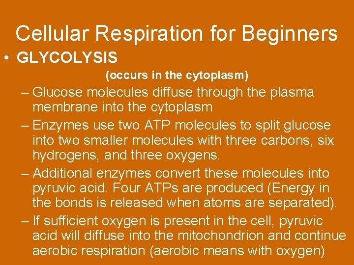 Cellular Respiration for Beginners • GLYCOLYSIS (occurs in the cytoplasm) – Glucose molecules diffuse