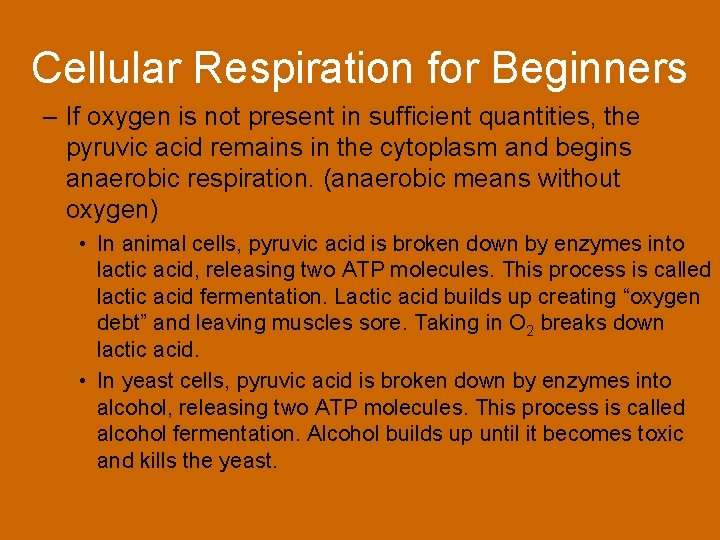 Cellular Respiration for Beginners – If oxygen is not present in sufficient quantities, the