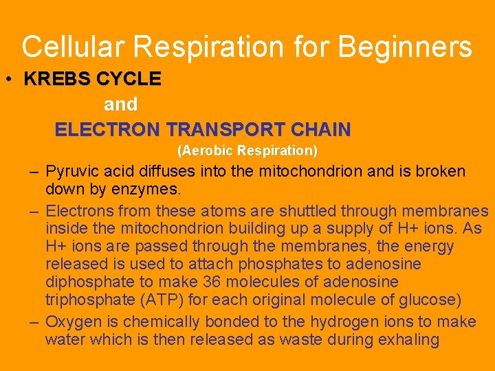 Cellular Respiration for Beginners • KREBS CYCLE and ELECTRON TRANSPORT CHAIN (Aerobic Respiration) –