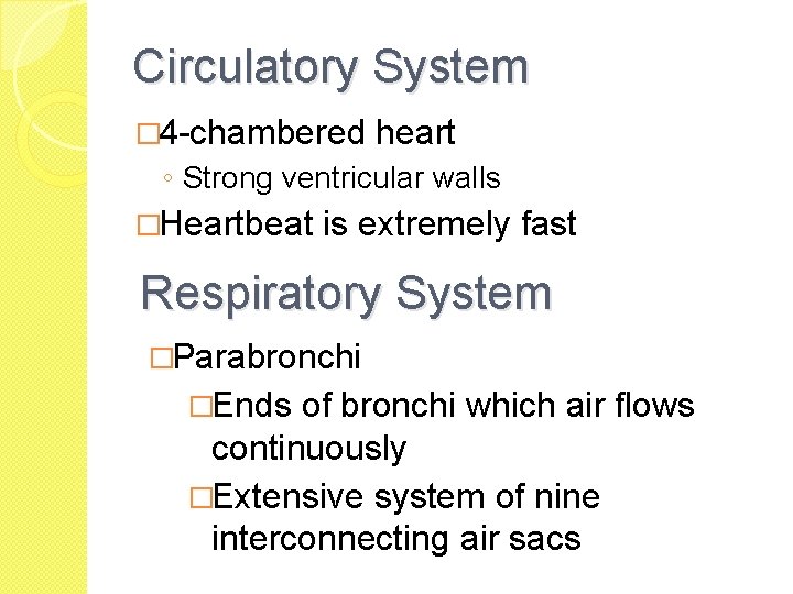 Circulatory System � 4 -chambered heart ◦ Strong ventricular walls �Heartbeat is extremely fast