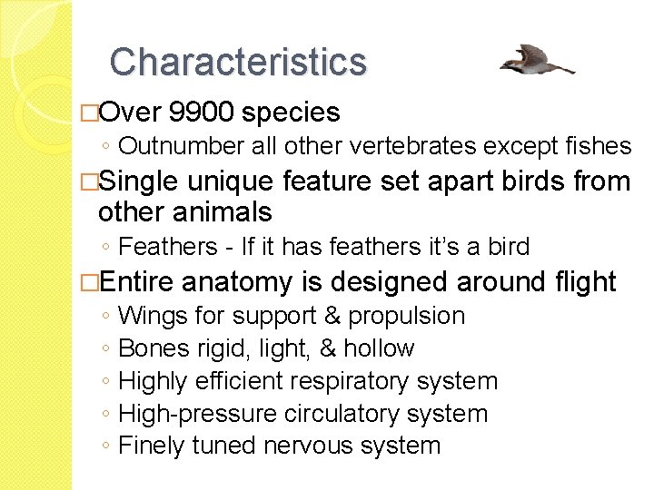 Characteristics �Over 9900 species ◦ Outnumber all other vertebrates except fishes �Single unique feature