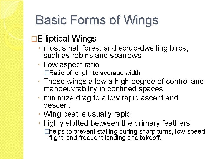 Basic Forms of Wings �Elliptical Wings ◦ most small forest and scrub-dwelling birds, such