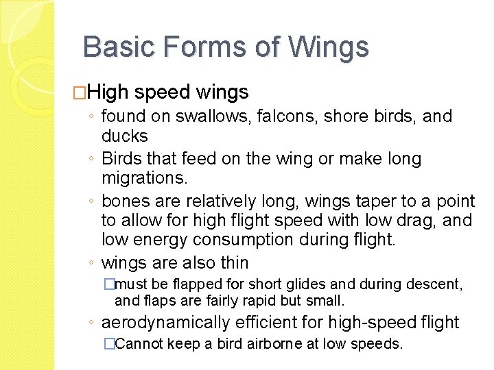 Basic Forms of Wings �High speed wings ◦ found on swallows, falcons, shore birds,