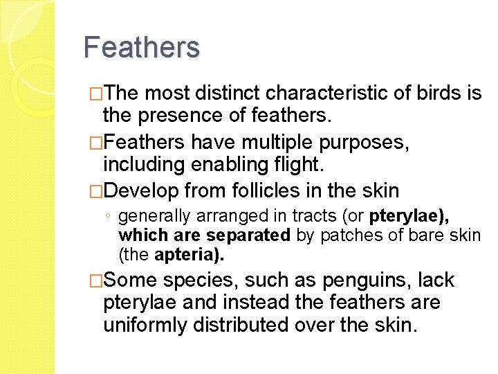 Feathers �The most distinct characteristic of birds is the presence of feathers. �Feathers have