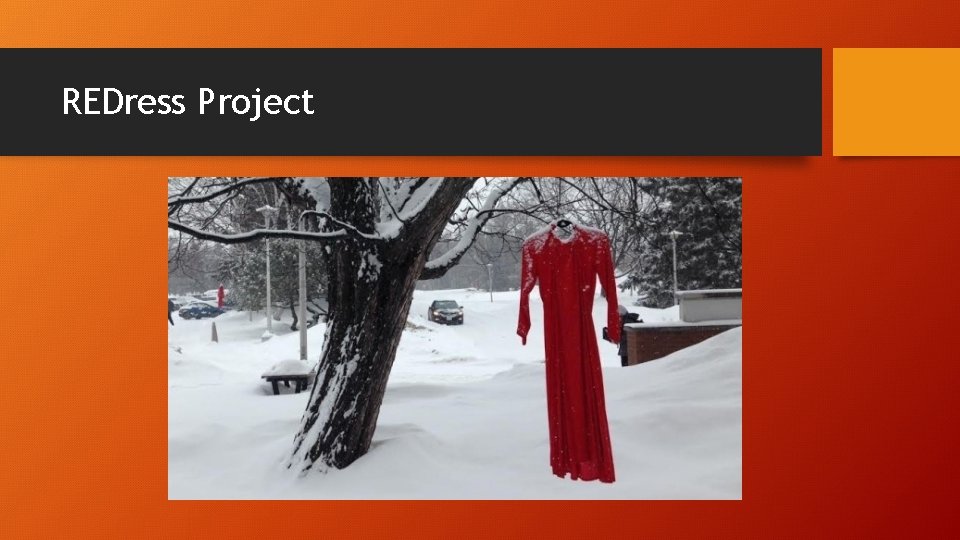REDress Project 