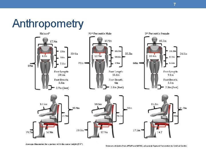 7 Anthropometry 