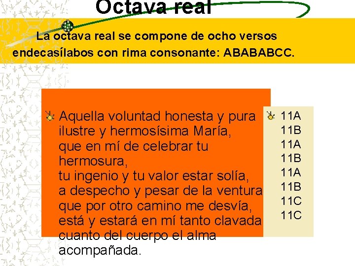 Octava real La octava real se compone de ocho versos endecasílabos con rima consonante: