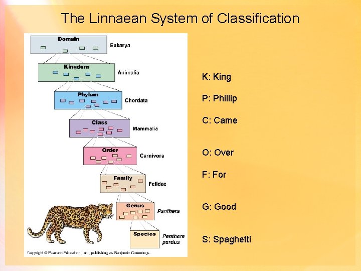 The Linnaean System of Classification K: King P: Phillip C: Came O: Over F: