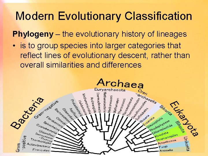 Modern Evolutionary Classification Phylogeny – the evolutionary history of lineages • is to group