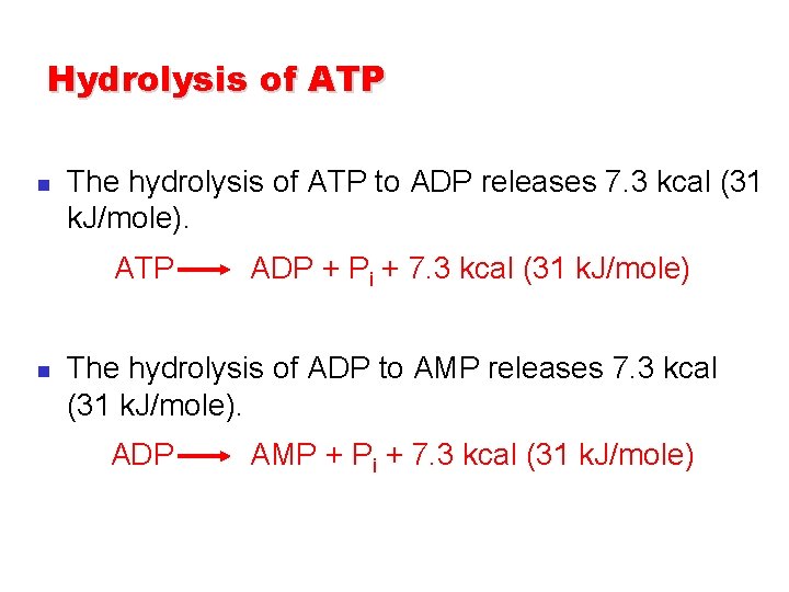 Hydrolysis of ATP n The hydrolysis of ATP to ADP releases 7. 3 kcal Hydrolysis of ATP n The hydrolysis of ATP to ADP releases 7. 3 kcal