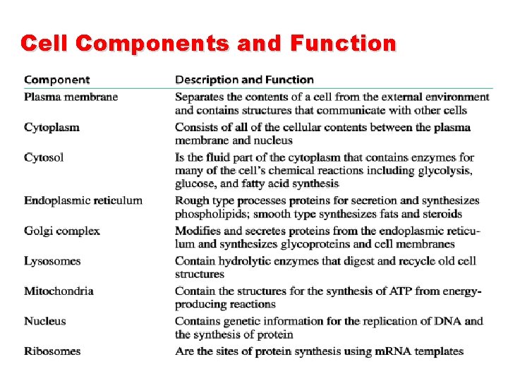 Cell Components and Function  Cell Components and Function