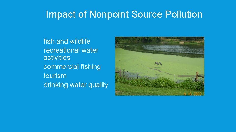 Impact of Nonpoint Source Pollution fish and wildlife p recreational water activities p commercial