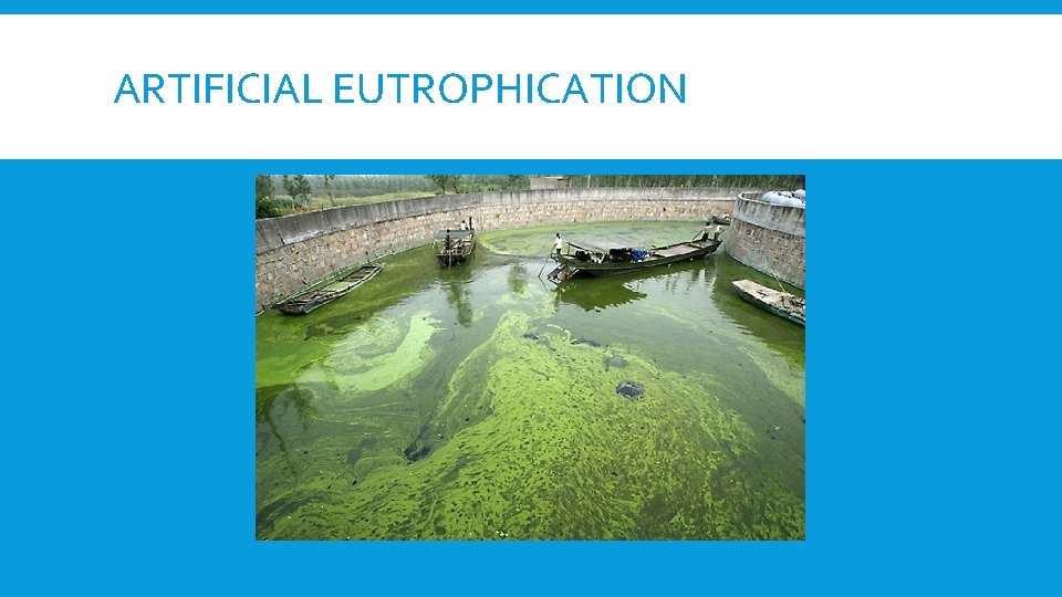 ARTIFICIAL EUTROPHICATION 