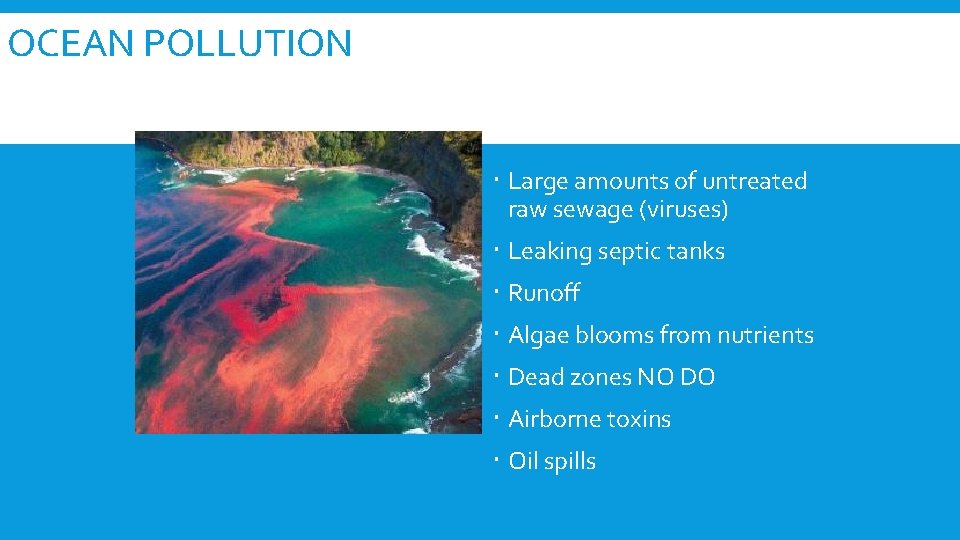 OCEAN POLLUTION Large amounts of untreated raw sewage (viruses) Leaking septic tanks Runoff Algae