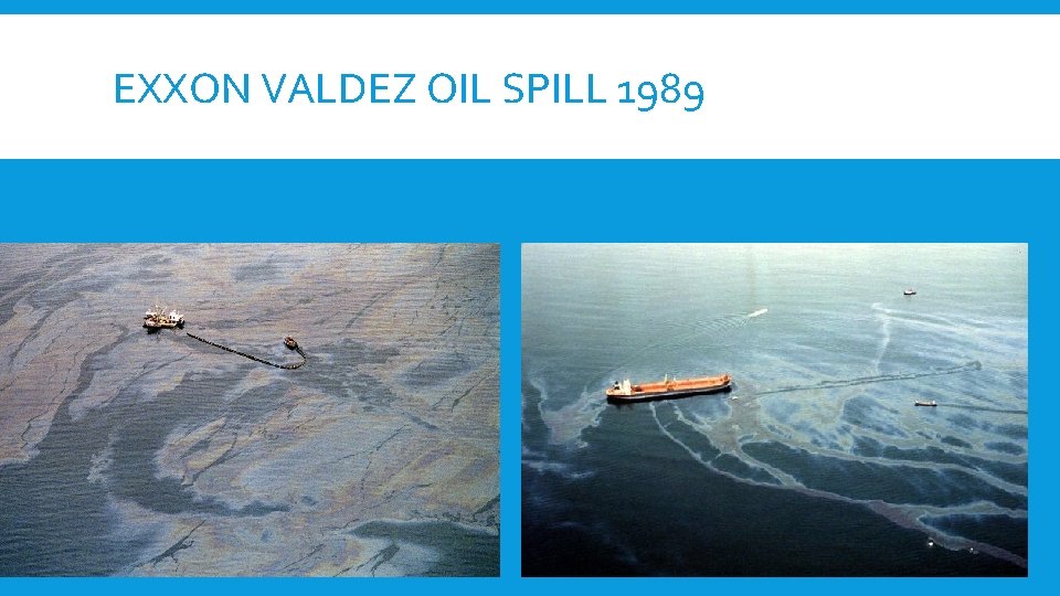 EXXON VALDEZ OIL SPILL 1989 