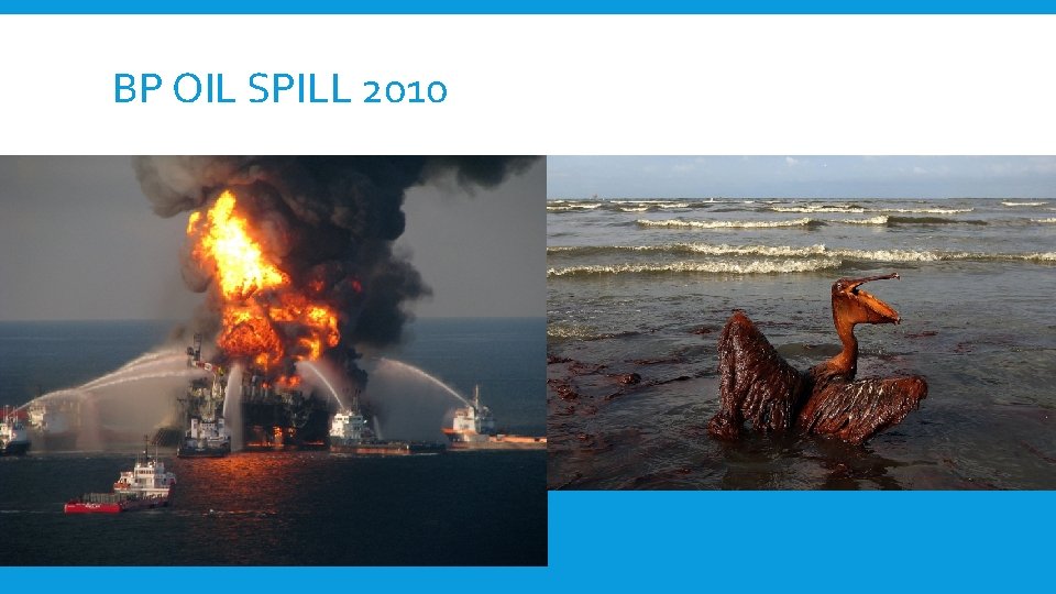 BP OIL SPILL 2010 