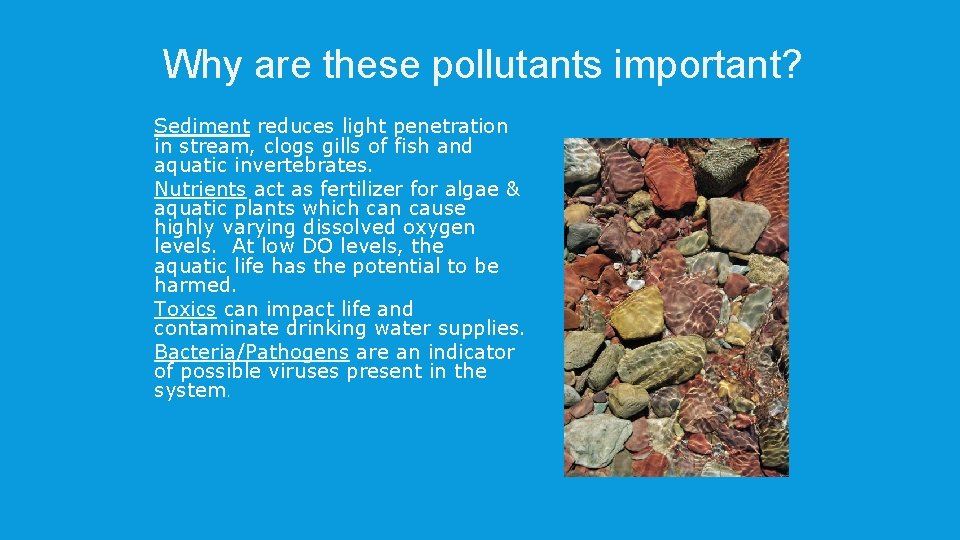 Why are these pollutants important? p p Sediment reduces light penetration in stream, clogs