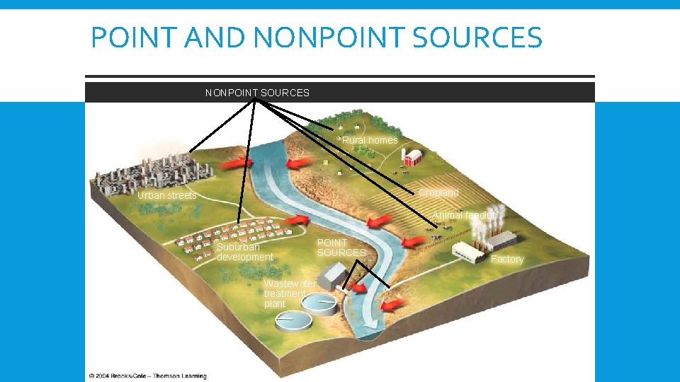 POINT AND NONPOINT SOURCES Rural homes Cropland Urban streets Animal feedlot Suburban development POINT