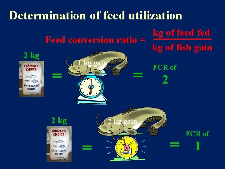 Determination of feed utilization 2 kg kg of feed fed Feed conversion ratio =