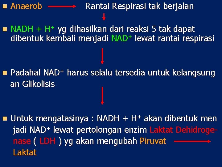 n Anaerob Rantai Respirasi tak berjalan n NADH + H+ yg dihasilkan dari reaksi