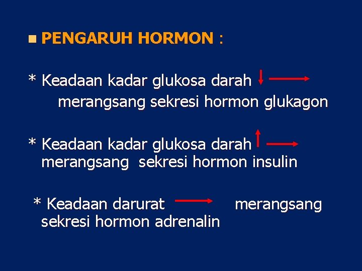 n PENGARUH HORMON : * Keadaan kadar glukosa darah merangsang sekresi hormon glukagon *