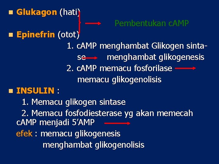 n Glukagon (hati) Pembentukan c. AMP Epinefrin (otot) 1. c. AMP menghambat Glikogen sintase