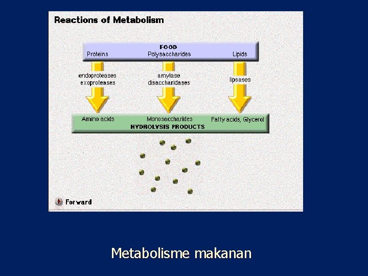 Metabolisme makanan 