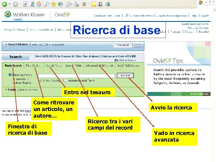 Ricerca di base Entro nel tesauro Come ritrovare un articolo, un autore… Finestra di