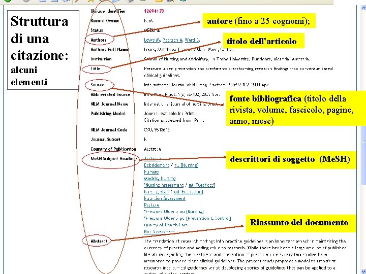 Struttura di una citazione: autore (fino a 25 cognomi); titolo dell'articolo alcuni elementi fonte