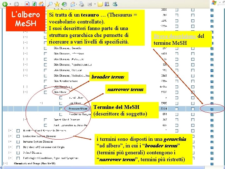 L’albero Me. SH Si tratta di un tesauro … (Thesaurus = vocabolario controllato). I