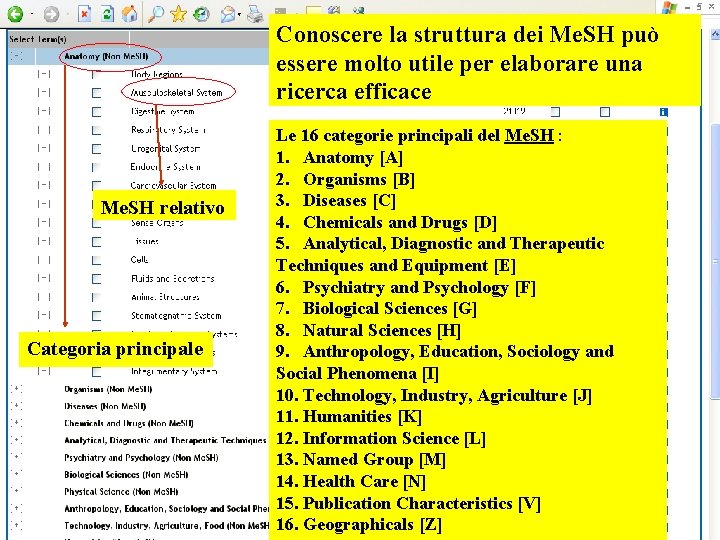 Conoscere la struttura dei Me. SH può essere molto utile per elaborare una ricerca