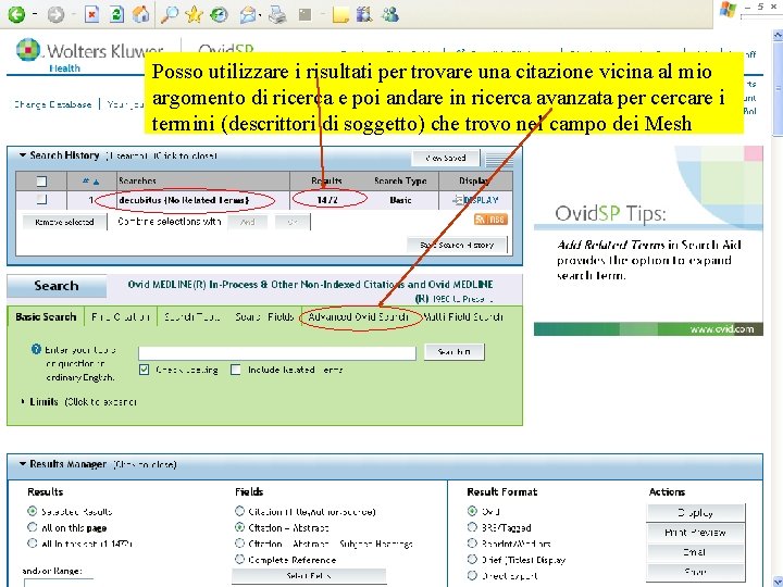 Posso utilizzare i risultati per trovare una citazione vicina al mio argomento di ricerca