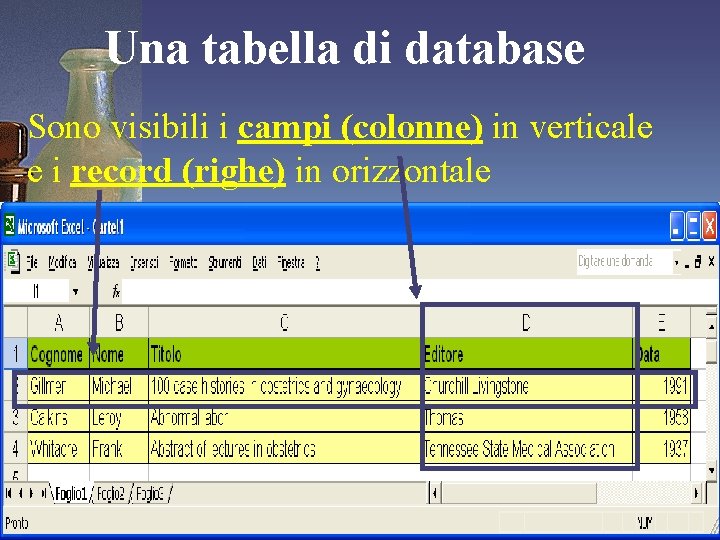 Una tabella di database Sono visibili i campi (colonne) in verticale e i record