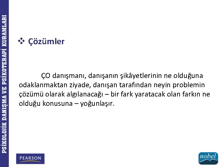 v Çözümler ÇO danışmanı, danışanın şikâyetlerinin ne olduğuna odaklanmaktan ziyade, danışan tarafından neyin problemin