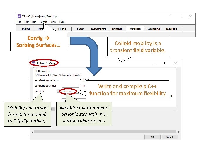 Config → Sorbing Surfaces… Colloid mobility is a transient field variable. Write and compile