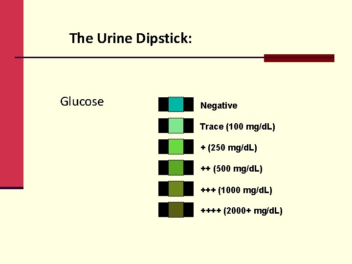 The Urine Dipstick: Glucose Negative Trace (100 mg/d. L) + (250 mg/d. L) ++