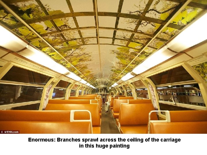 Enormous: Branches sprawl across the ceiling of the carriage in this huge painting 