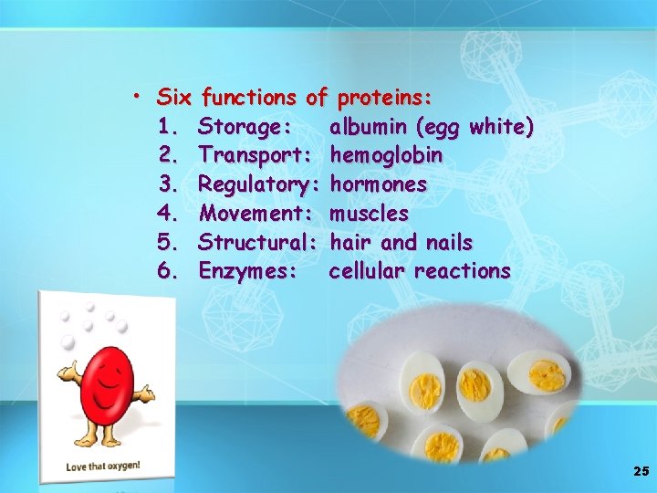  • Six functions of proteins: 1. Storage: albumin (egg white) 2. Transport: hemoglobin