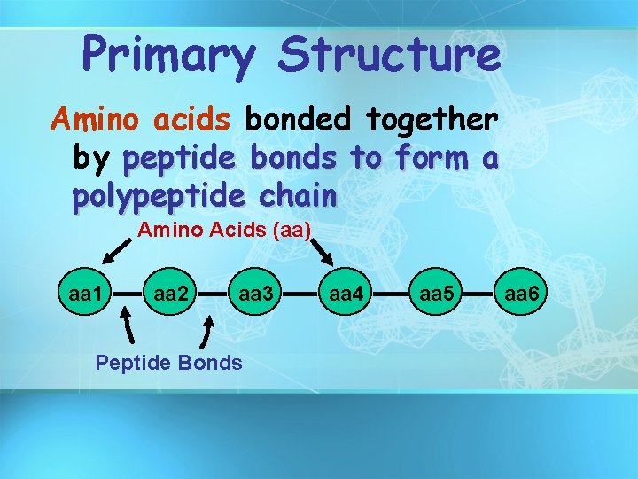 Primary Structure Amino acids bonded together by peptide bonds to form a polypeptide chain